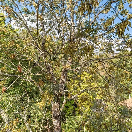 Dom wakacyjny Le Moulin De Pen Hoet Vertou