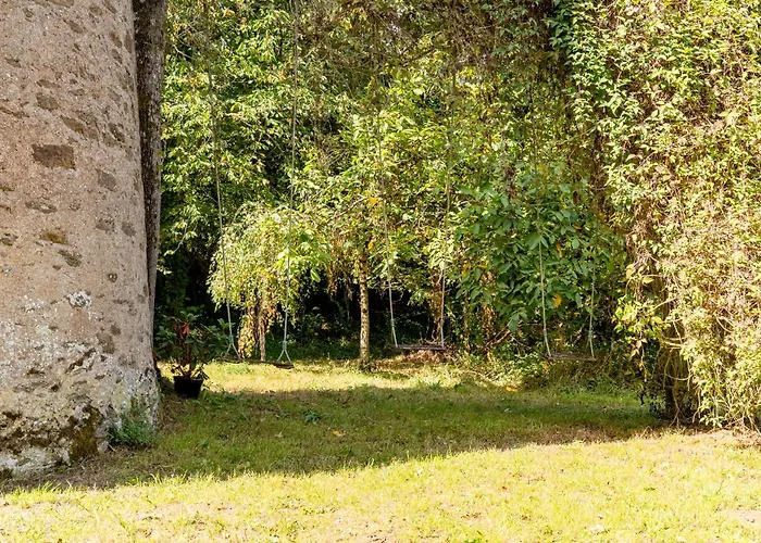 Le Moulin De Pen Hoet Ferienhaus *