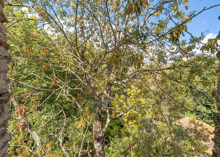 בית נופש Le Moulin De Pen Hoet ורטו